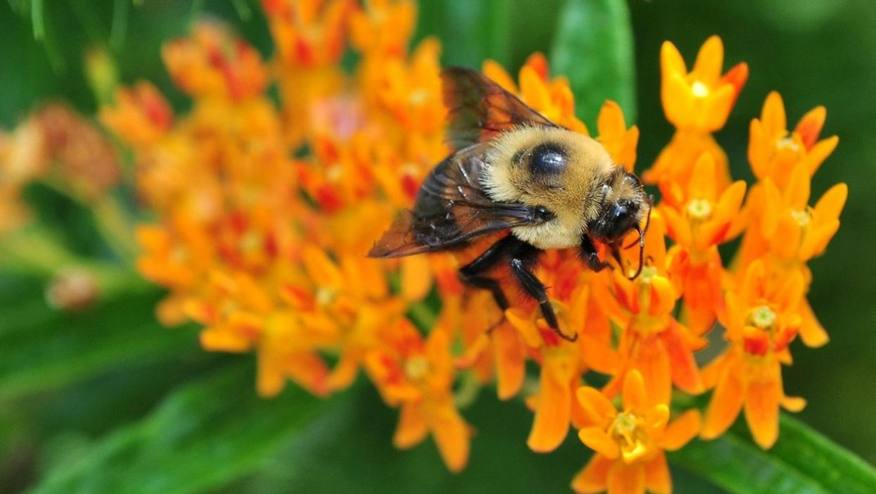 People Share The Most Wildly Inaccurate Thing They Were Taught About The Birds And The Bees
