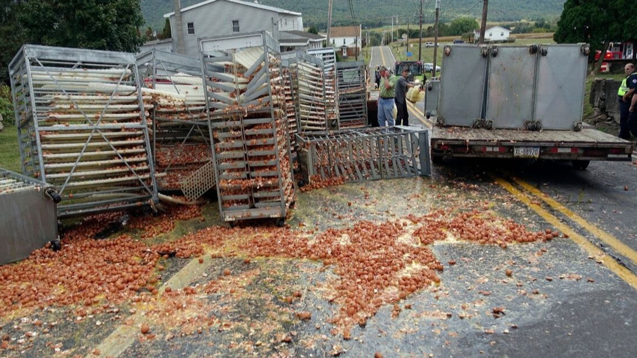 More Than 136,000 Eggs Create Huge Mess On Pennsylvania Road After Falling Off Trailer