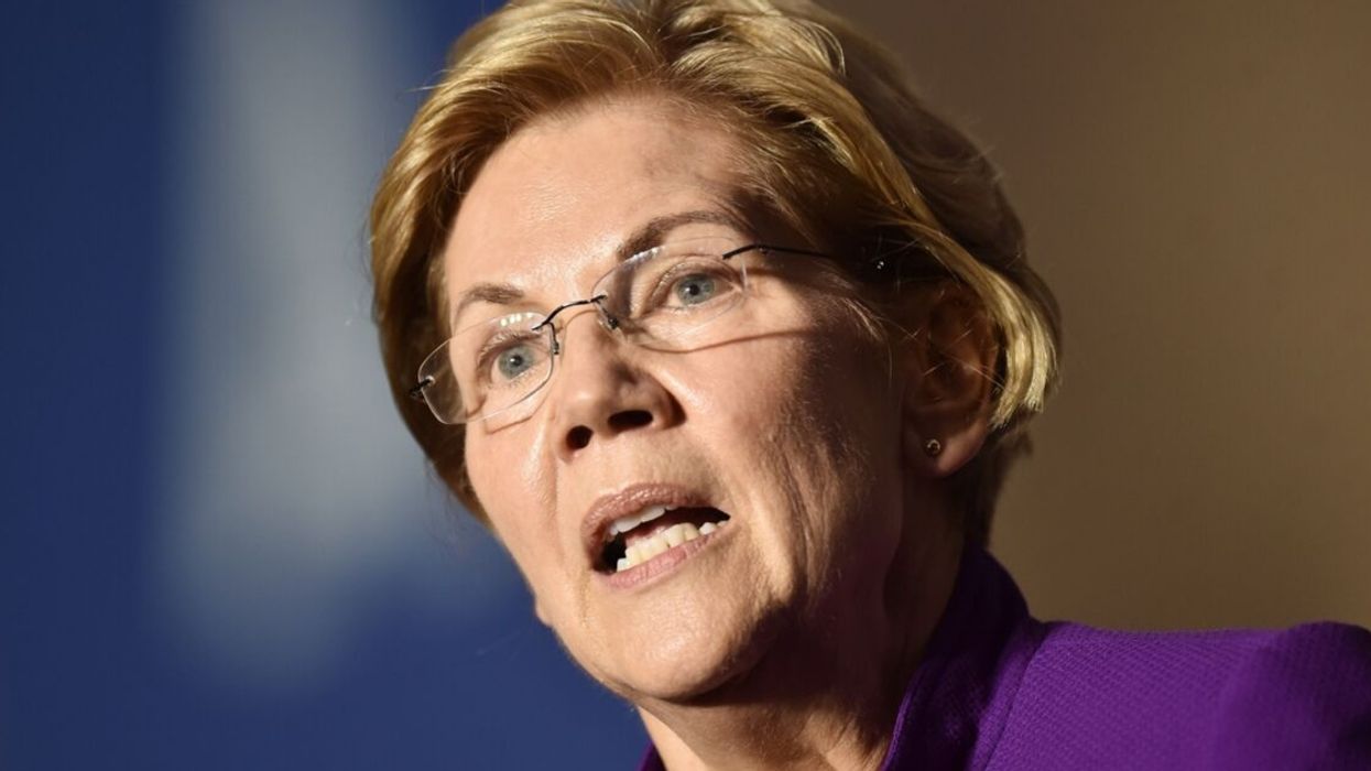 Elizabeth Warren Trolls Smear Campaign Against Her With Genius 'Cougar' Reference
