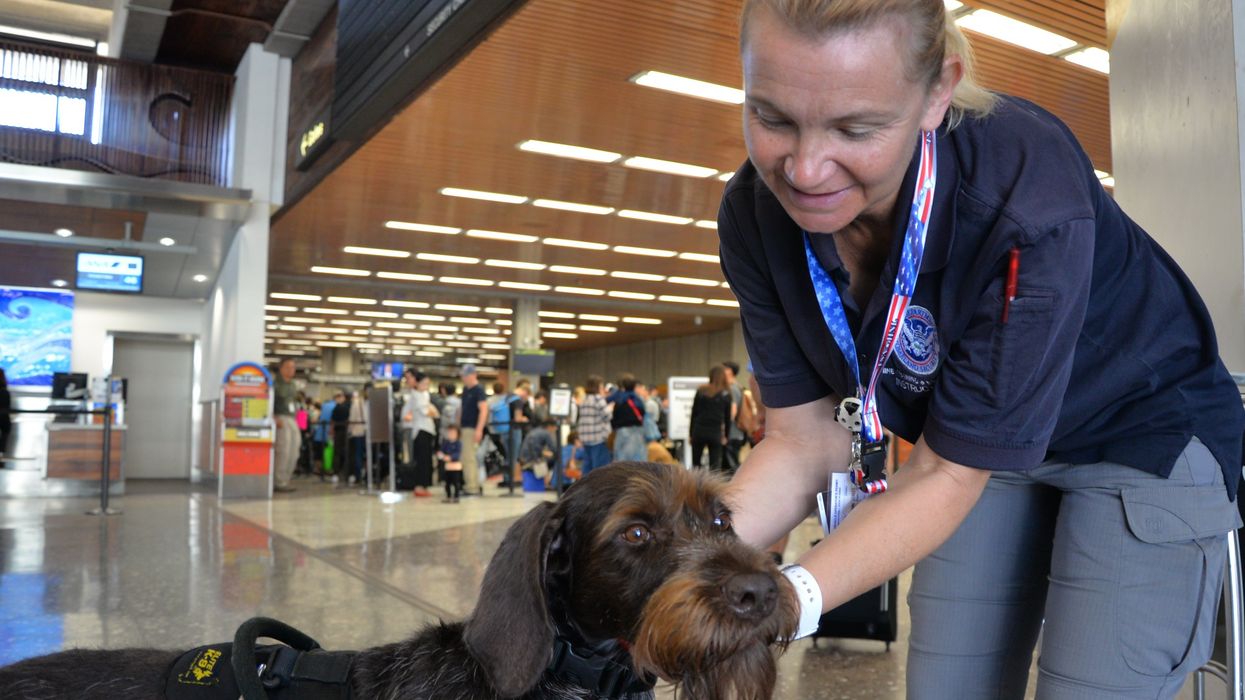Airport Security Shares The Most Disturbing Things They Have Found In Someone's Bag
