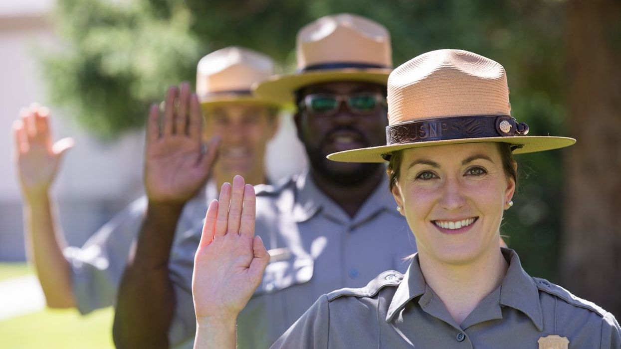 People Share The 'Unwritten Qualifications' Needed To Be Successful In Their Industry