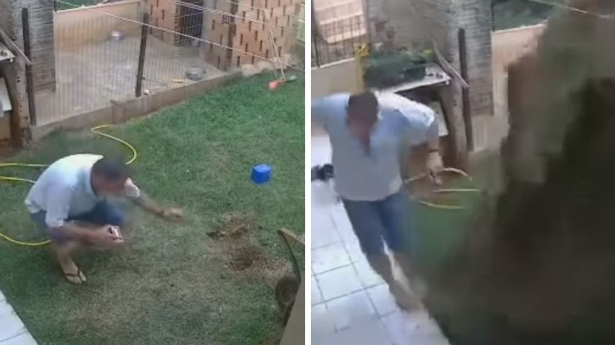 Security Camera Catches Guy Accidentally Blowing Up His Back Yard While Trying To Kill Cockroach Infestation