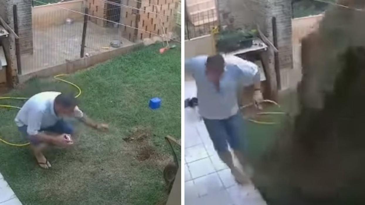 Security Camera Catches Guy Accidentally Blowing Up His Back Yard While Trying To Kill Cockroach Infestation