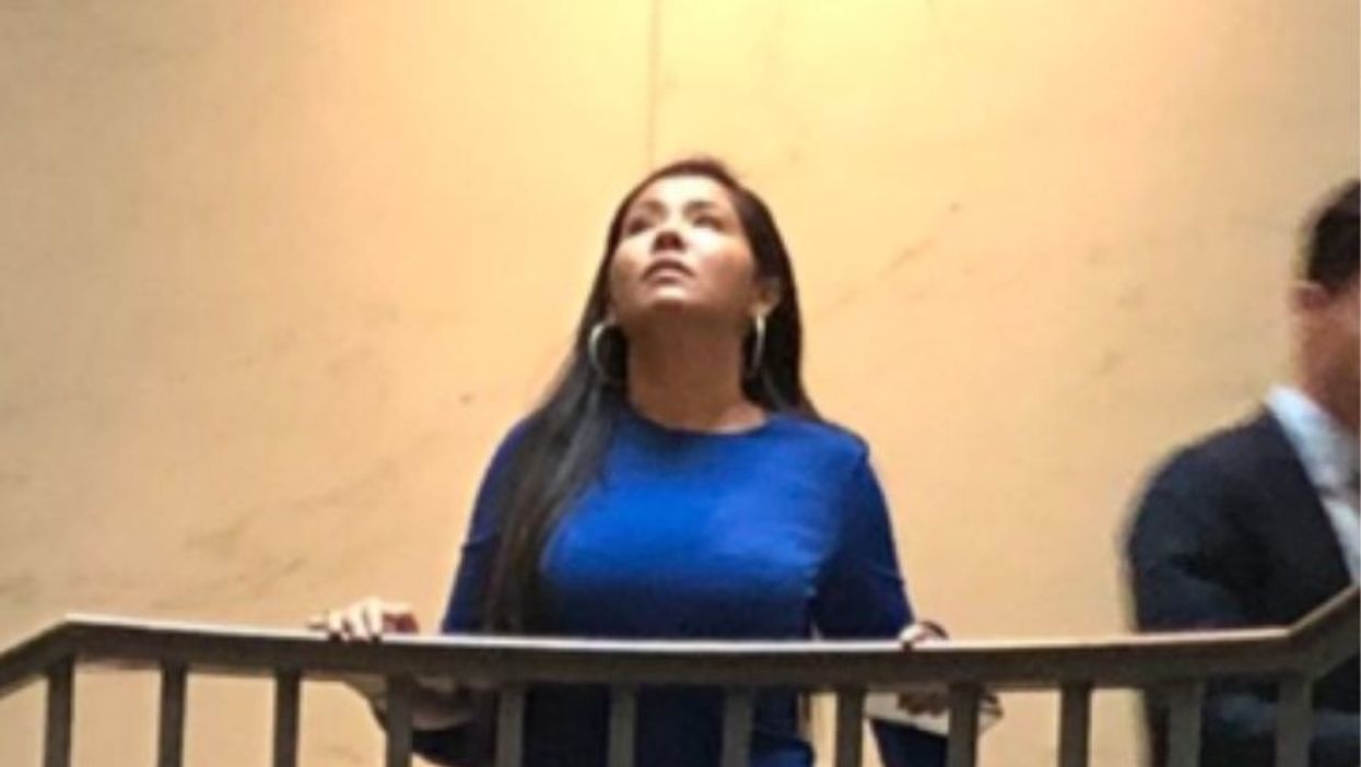 Woman In Blue Dress Who Became Symbol Of The 'Resistance' Thanks To Viral Photo Is Actually Republican Staffer