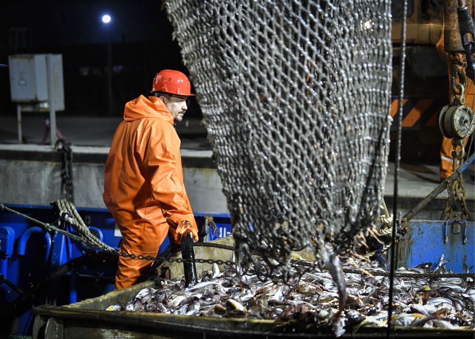 STUDY: By 2050 Dozens of Countries Will Be Impacted by Shifting Fish ...