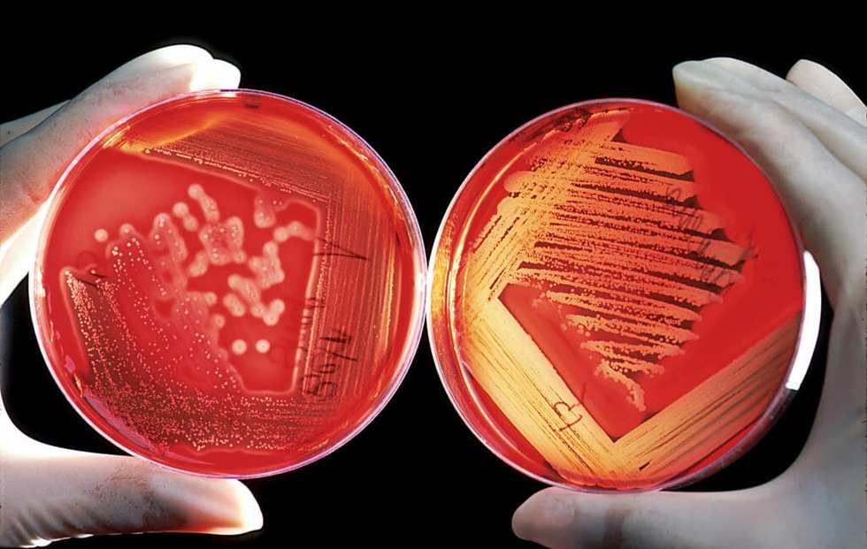 Human CRISPR Trials Are the New Sputnik in East v. West Race