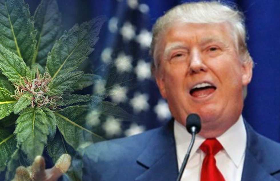 Oregon Moves to Protect Legal Cannabis From Trump Administration