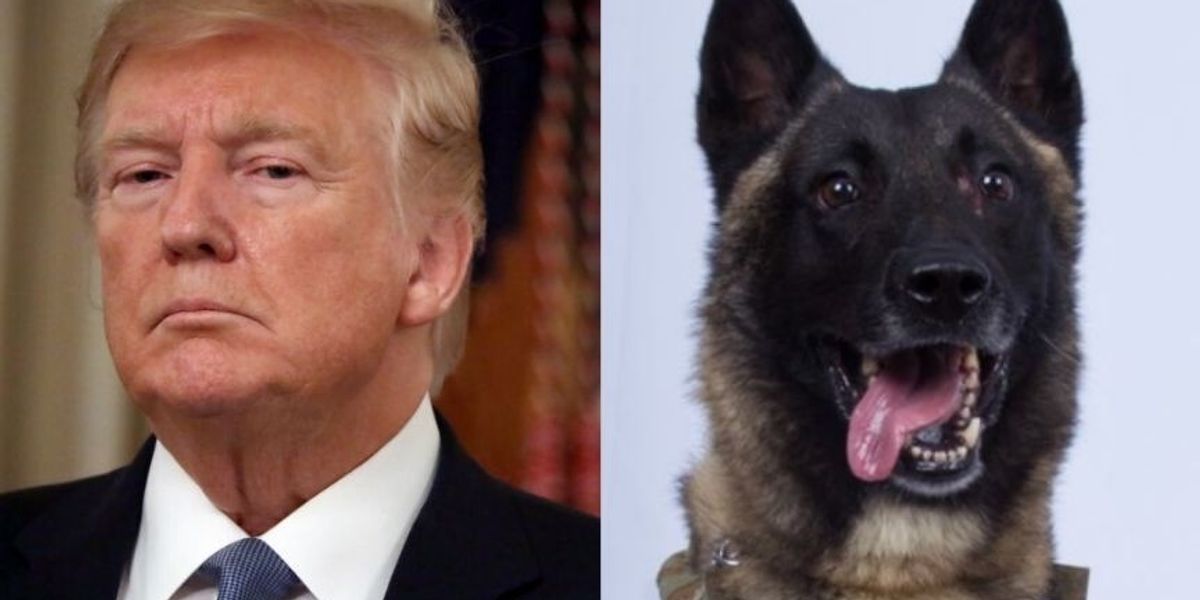 Trump Guard Dogs Trump Shares Bizarre Photoshopped Image Of Himself Awarding Military ...