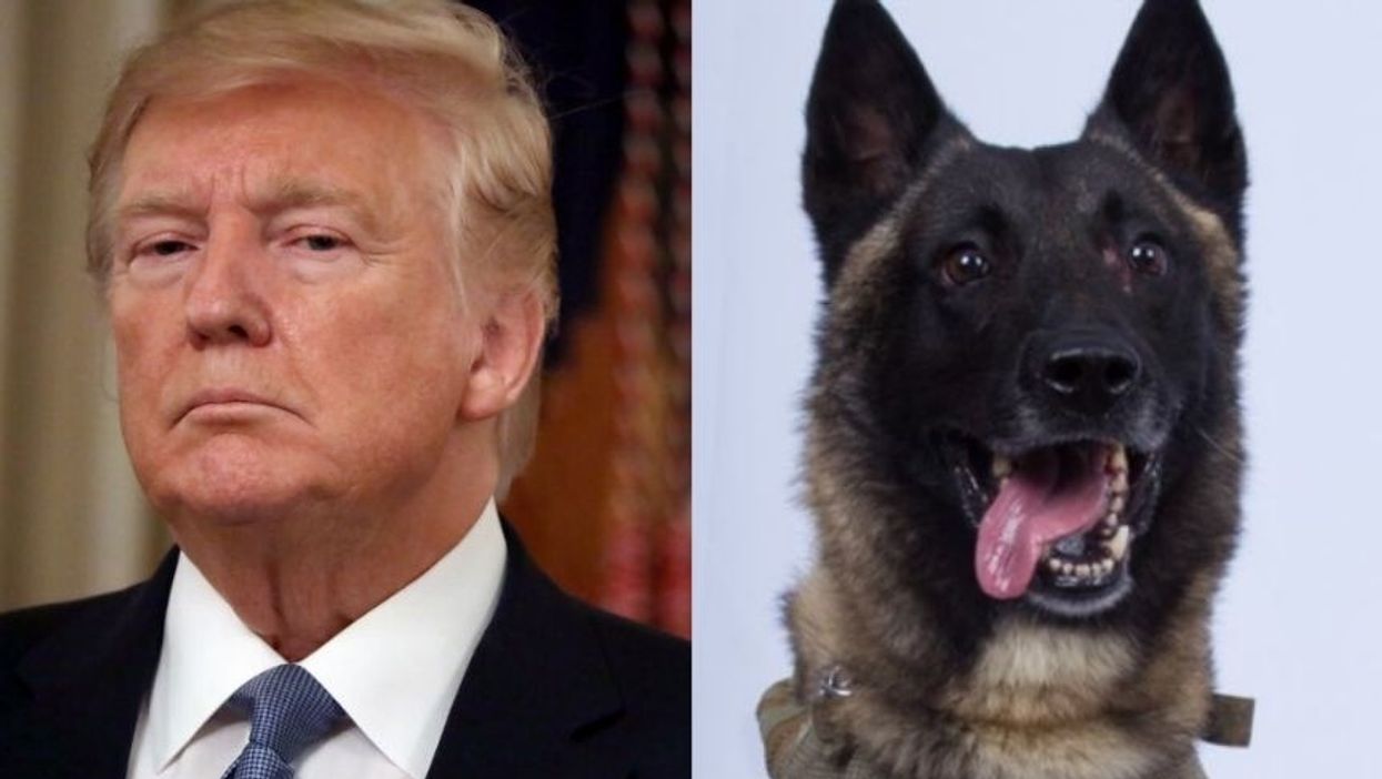 Trump Shares Bizarre Photoshopped Image Of Himself Awarding Military Dog The Medal Of Honor, Replacing Vietnam Vet