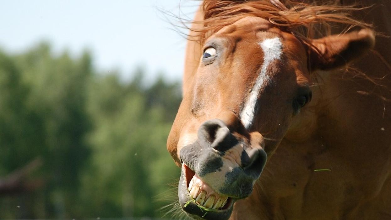 People Share The Stupidest Excuse They've Ever Heard