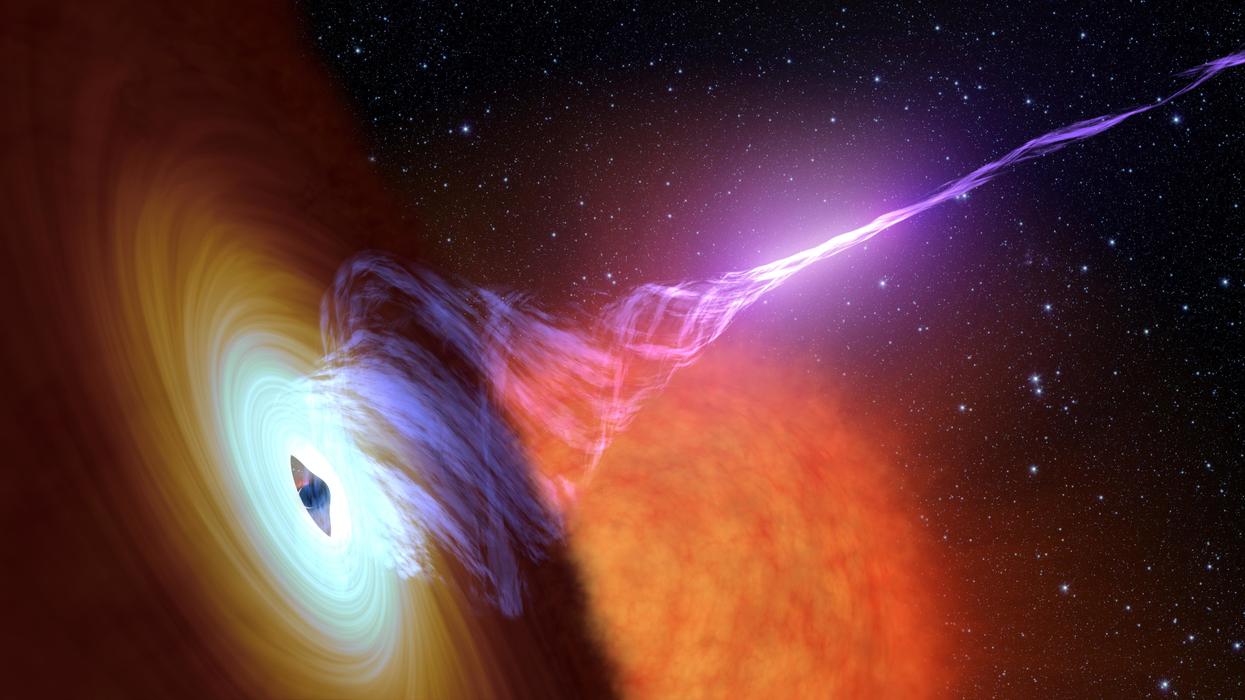 People Share The Best Science Facts They've Ever Learned