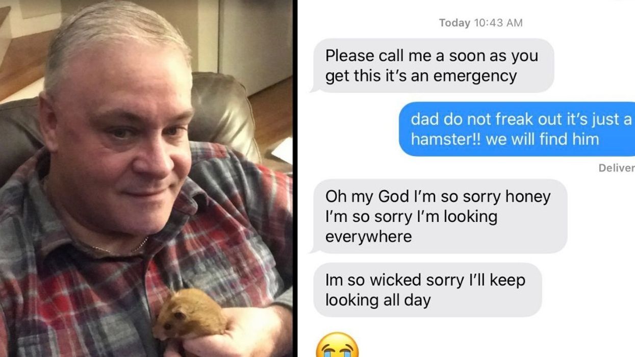 Boston Dad Has A Meltdown After Losing His Daughter's Pet Hamster—Then Goes To Extreme Lengths To Find Him