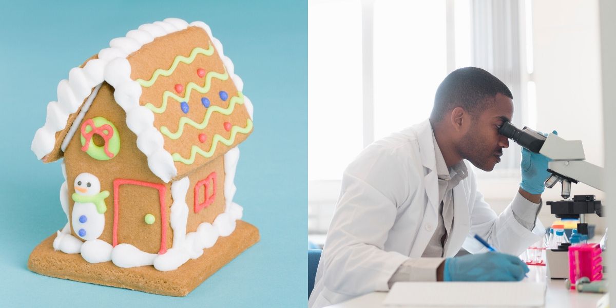 Scientist Creates World's Tiniest 'Gingerbread House' That Is 10 Times ...