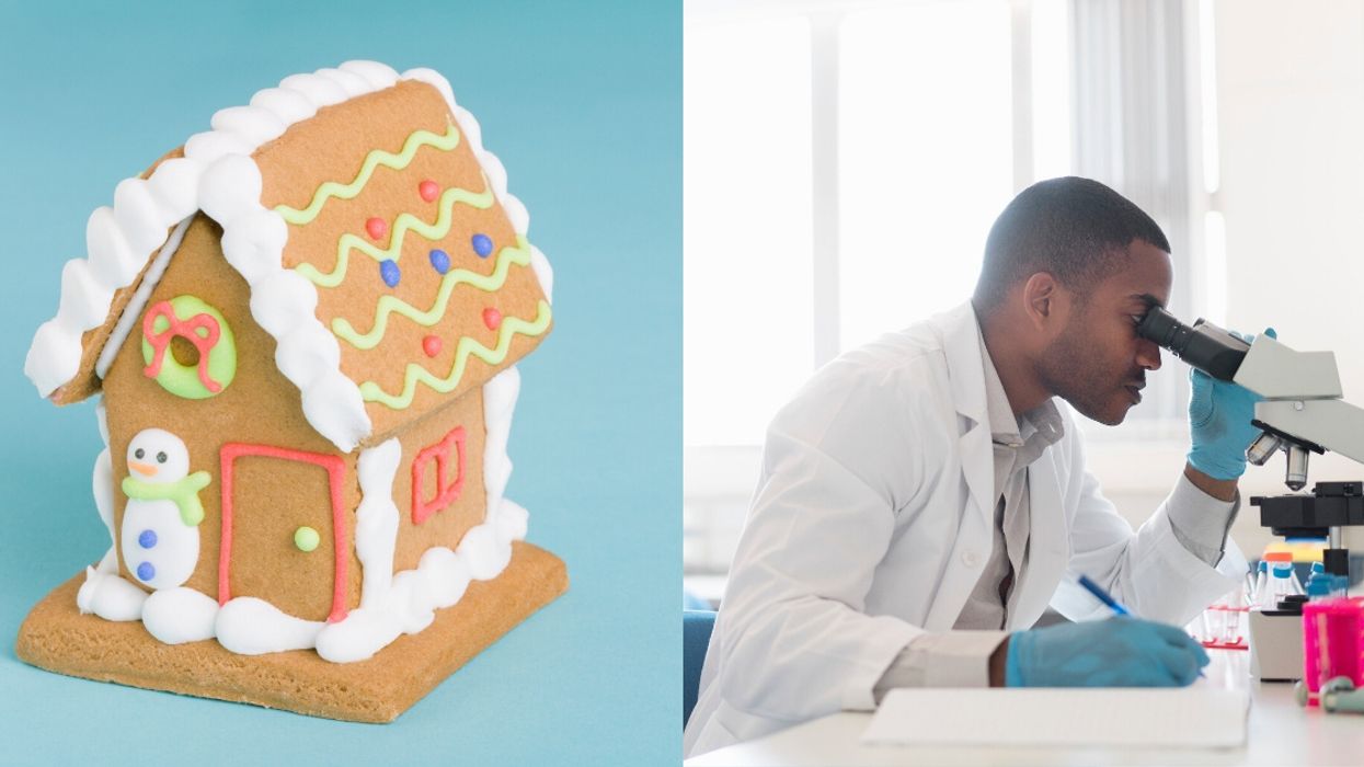 Scientist Creates World's Tiniest 'Gingerbread House' That Is 10 Times Smaller Than The Width Of A Human Hair