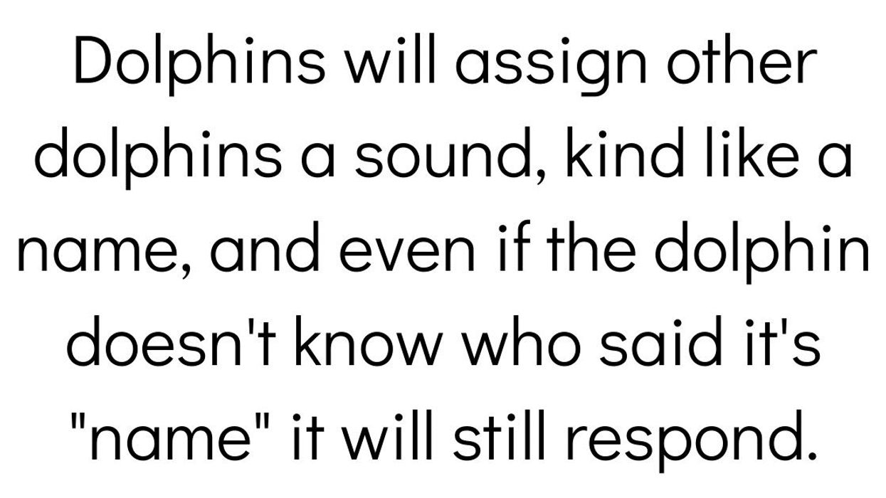 People Share The Most Wholesome Facts They Know