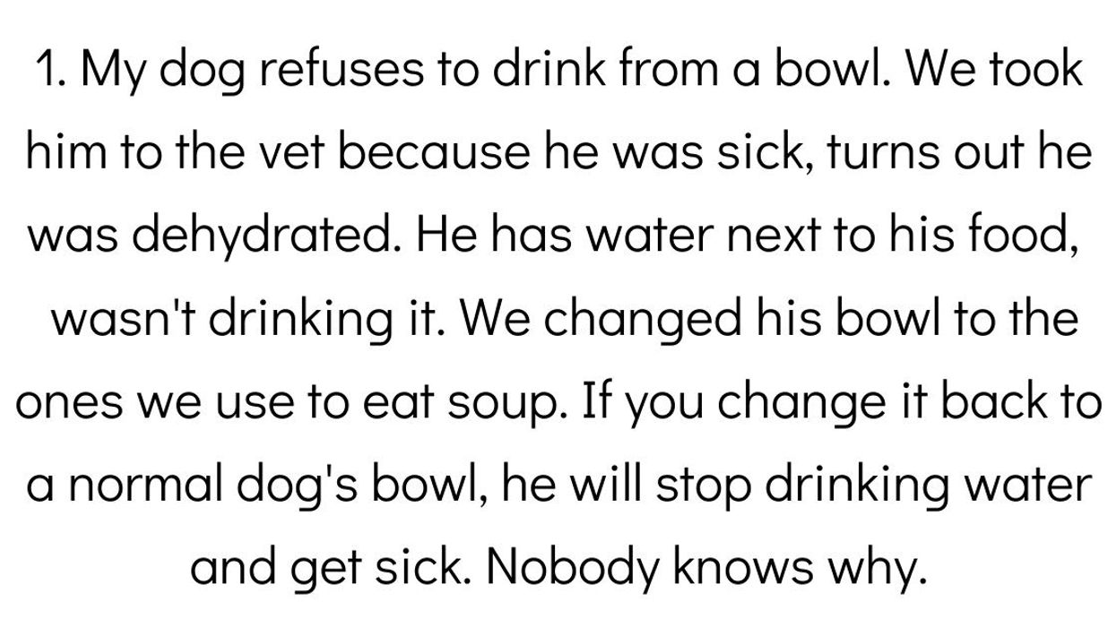 Pet Owners Share Their Fur Babies' Funniest Quirks