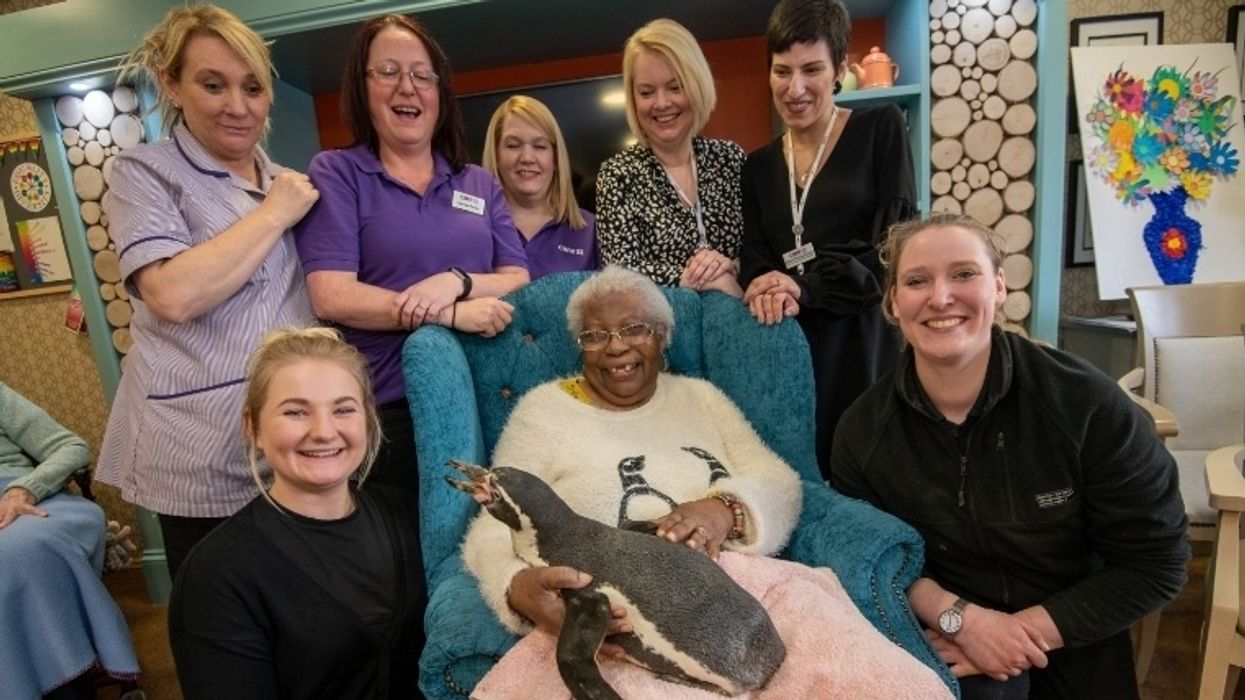85-Year-Old Woman Delighted After Her 'Greatest Wish' Is Granted With Surprise Visit From Penguins