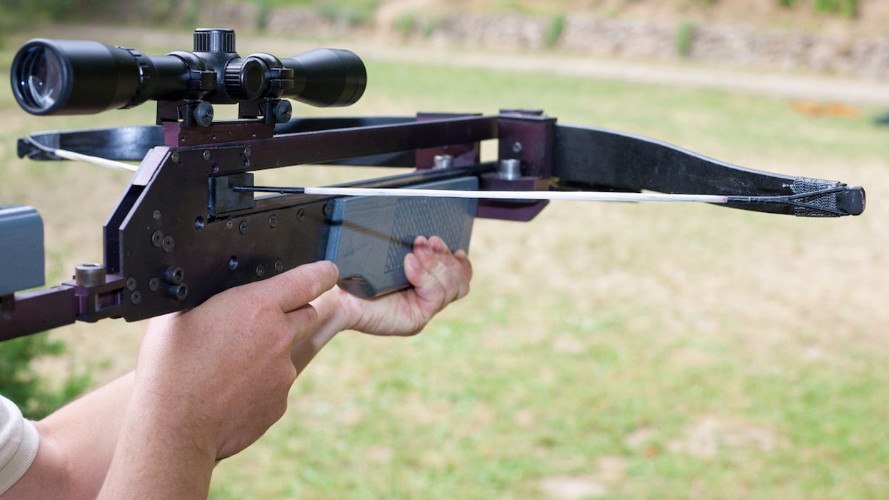 Massachusetts Man Accidentally Kills Neighbor With Crossbow While Attempting To Save Him From Dog Attack