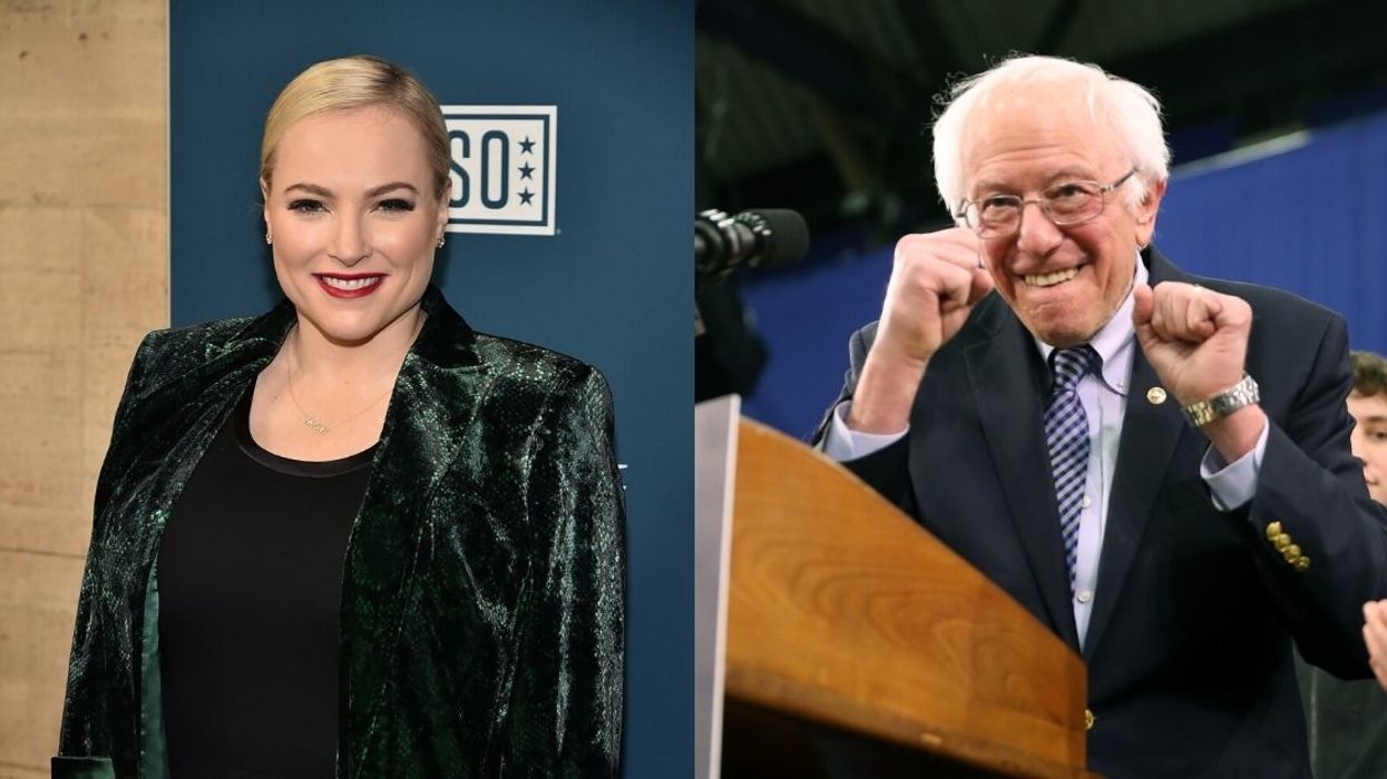 Meghan McCain Got The Ultimate Smackdown On Twitter After Questioning Democrats' Support Of Bernie Sanders