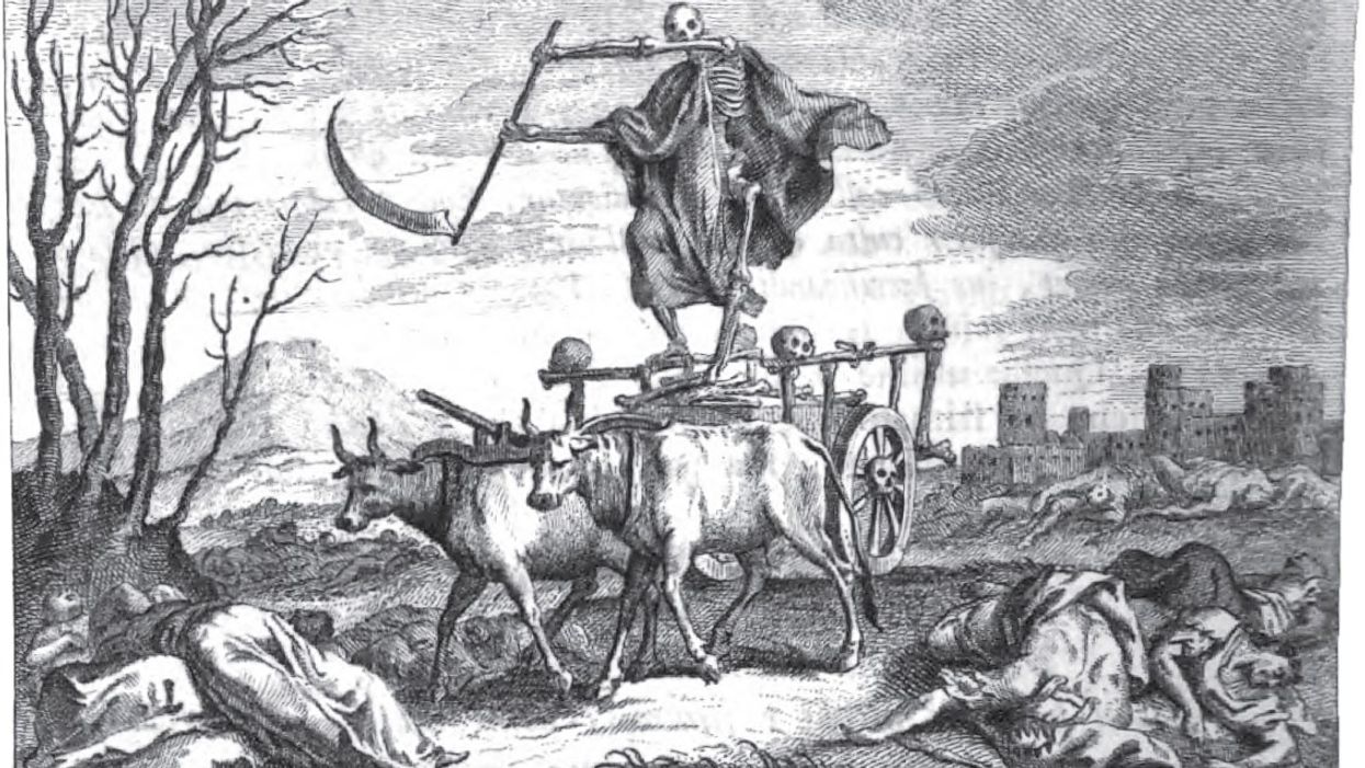 People Share How They'd Like Their Remains To Be Handled After Their Death