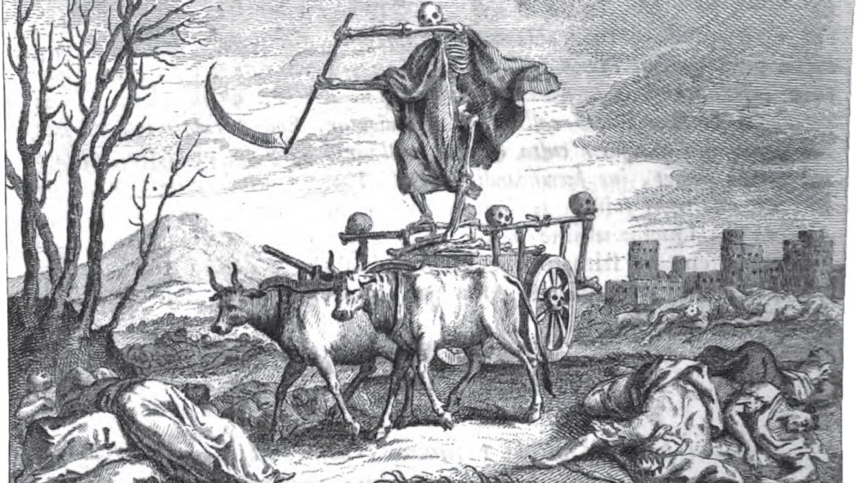 People Share How They'd Like Their Remains To Be Handled After Their Death