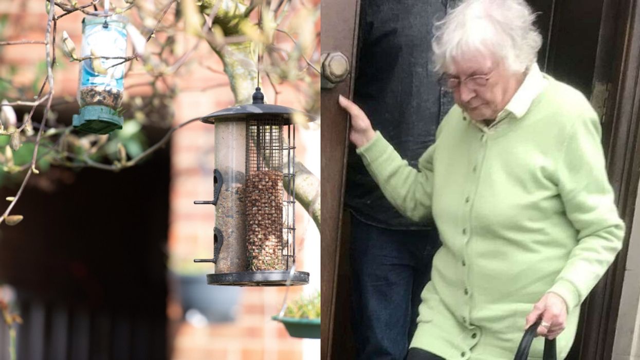 81-Year-Old Woman Tormented Her Neighbors For Years With Her Parrot's Loud Singing, Forced Them To Listen To 'Seven Hours Of Continuous 'Toy Story''