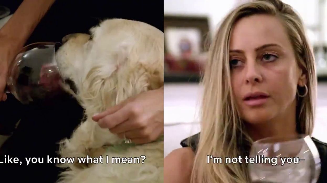 'Love Is Blind' Contestant Causes Concern Among Animal Lovers After Letting Her Dog Drink Wine Out Of Her Glass On The Show