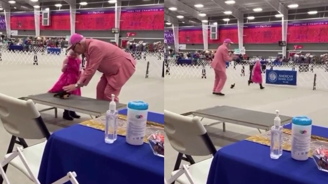 Dog Show Judge Makes Little Girl With Autism's Day By Letting Her Show Her Stuffed Animal Dog