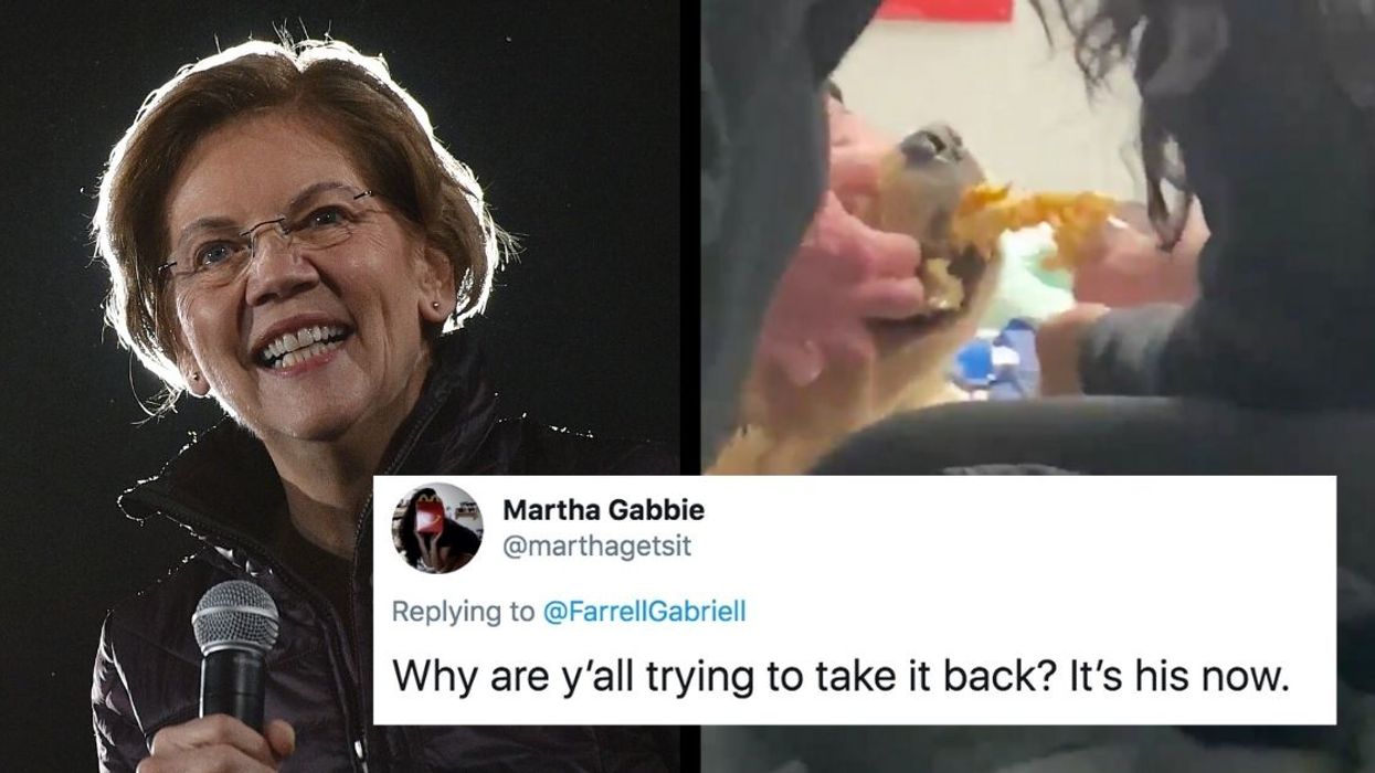 Elizabeth Warren's Dog Swiped Someone's Burrito After She Dropped Out Of The Presidential Race, And We're Right There With You Bailey