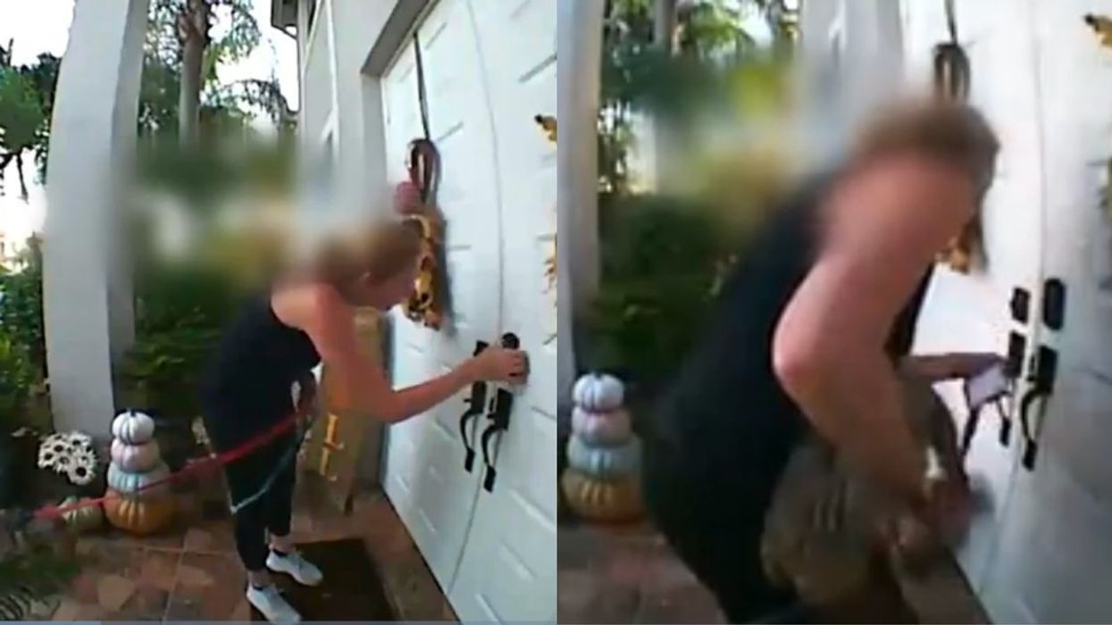 Dog Walker For Wag App Under Investigation After Giving Conflicting Details About Dog's Mysterious Death