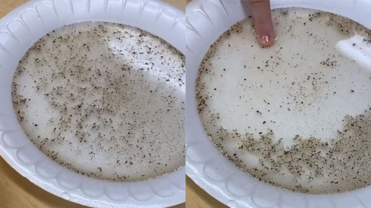 Florida Preschool Teacher Goes Viral With Science Experiment Video Showing Her Students The Importance Of Hand-Washing