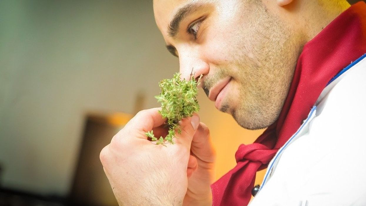 People Share Their Absolute Favorite Smell