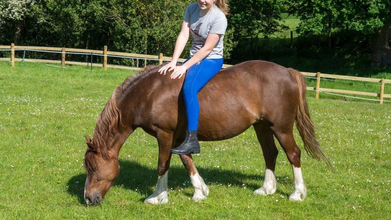 Teen Faces Backlash After Telling Her Overweight Friend She Can't Ride Her Elderly Horse Because She's 'Too Fat'