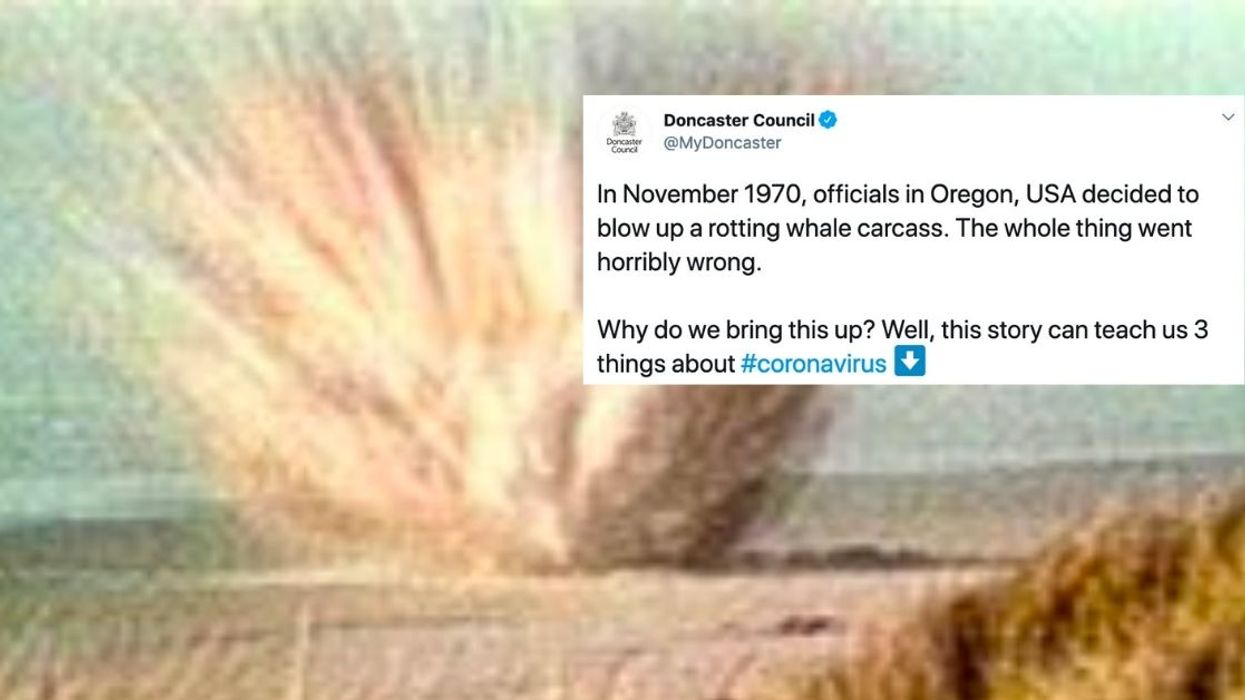 Oregon City's Ill-Fated Decision To Blow Up A Decomposing Whale Back In 1970 Is A Teachable Moment For Dealing With The Current Pandemic