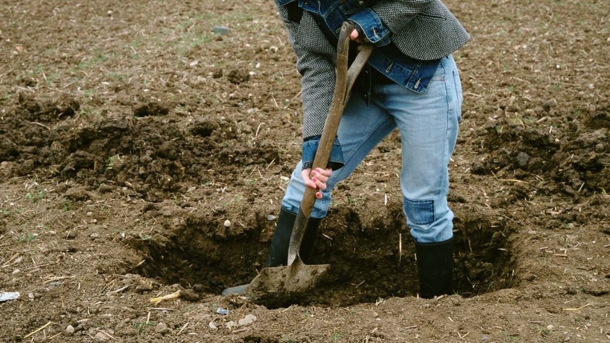 Woman Breaks Up With Her Boyfriend After He Presses Her About Her Decision To Hide Their Stock Of Beans From 'Looters' By Burying Them In The Woods