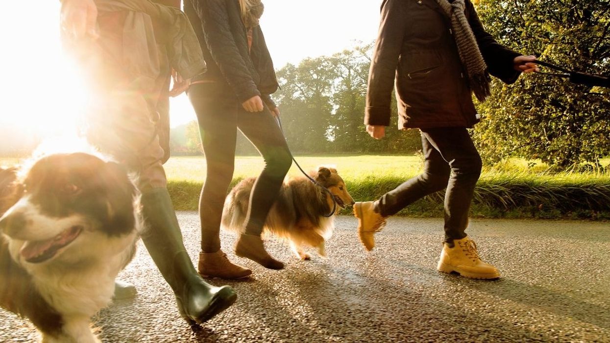 Son Upset After Learning That His New Stepmom's Dog Has The Same Name As Him And They Don't Want To Change It