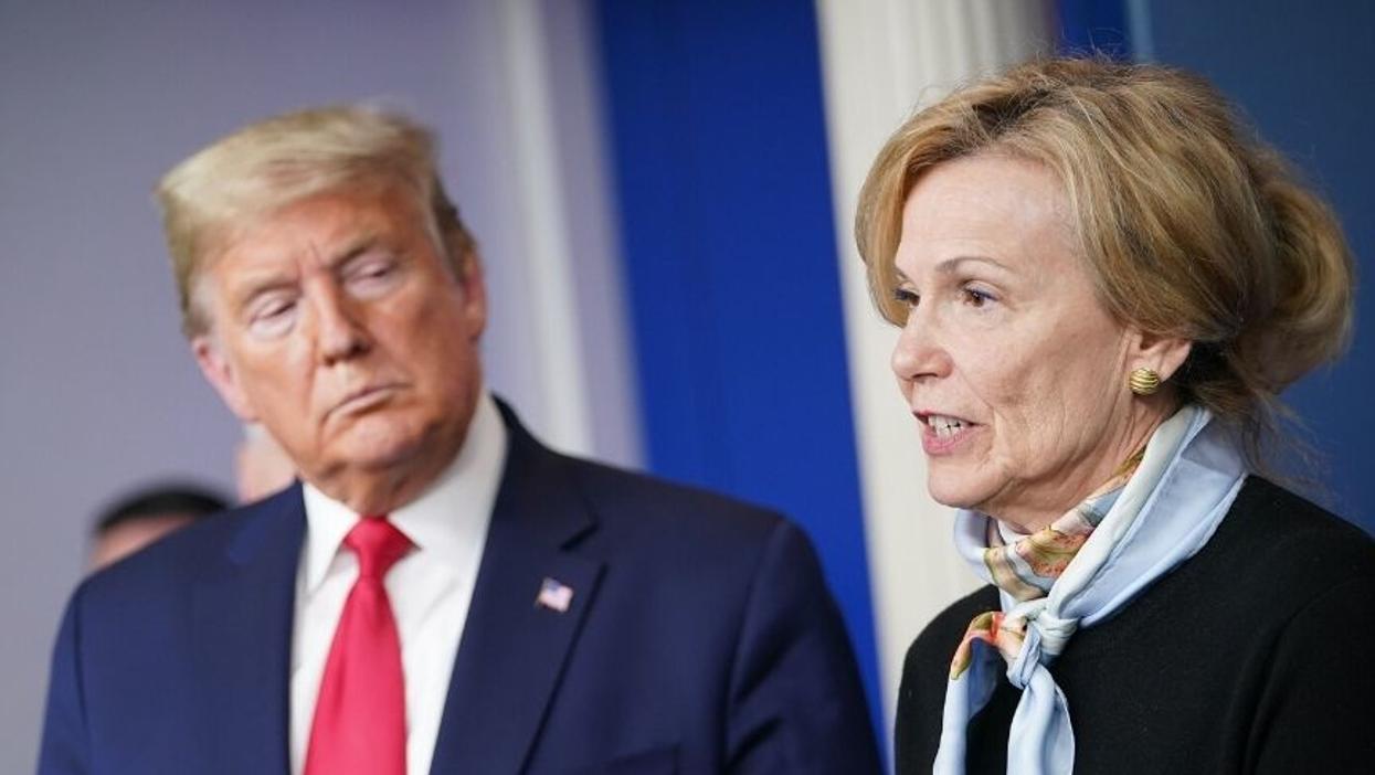 Camera Zooms in on Dr. Birx as Trump Ponders Virus Cures at W.H. Briefing, and Her Look of Horror Is All of Us