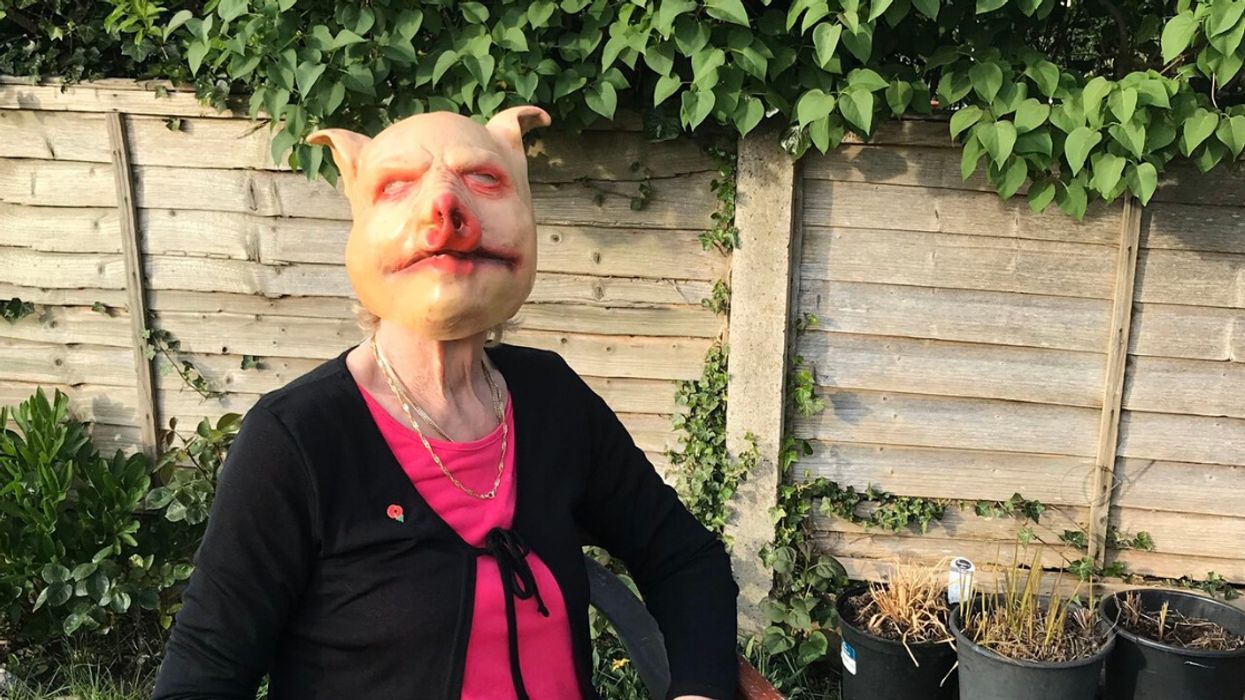 Grandma Goes Viral After Her Granddaughter Realizes She Wears A Pig Mask To Talk To Her Neighbor