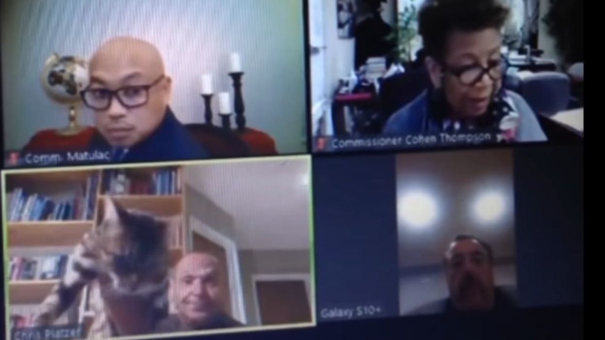 California Official Apologizes And Resigns After Throwing His Cat And Drinking Beer During Zoom Meeting
