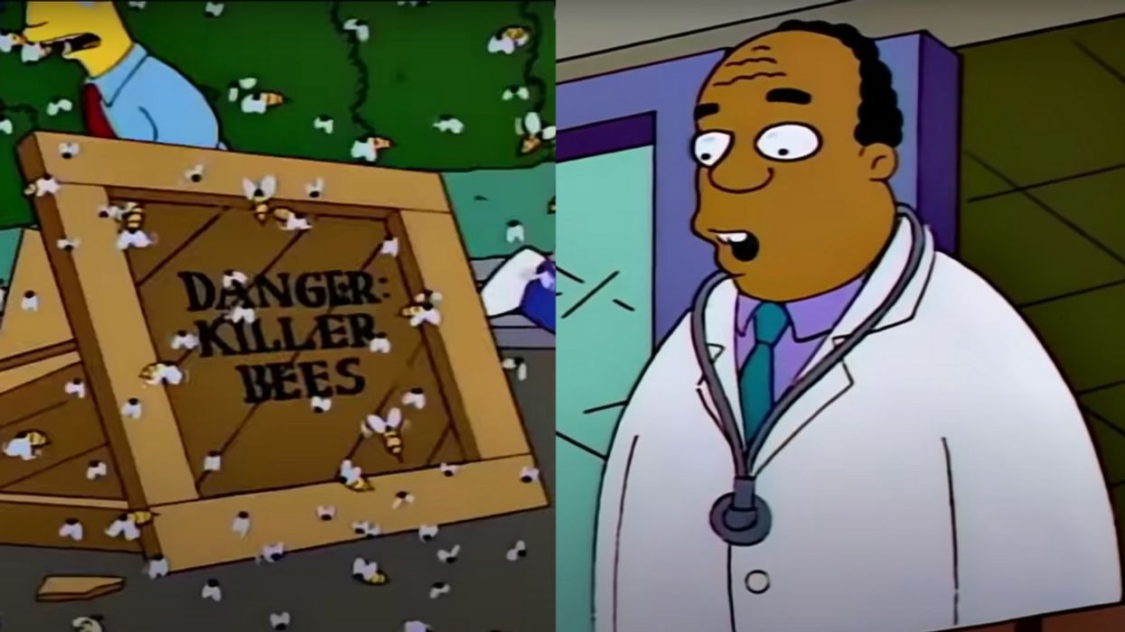 'The Simpsons' Basically Predicted The Pandemic And Murder Hornets All In One Episode From 1993