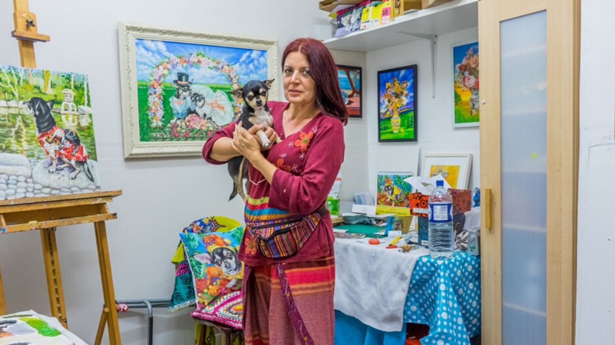 Artist Transforms Her Chihuahua Into Everything From The Queen To Wonder Woman With Her Clever Portraits