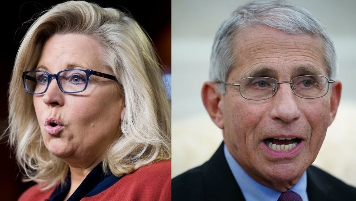 Liz Cheney Is Defending Dr. Fauci After Criticism from GOP Senators--and Trump Supporters are Pissed