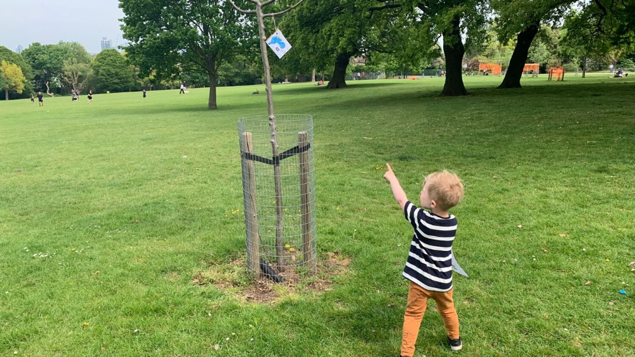 Family Sparks Lockdown Craze By Hiding Pokémon In Local Park For Kids To Hunt For