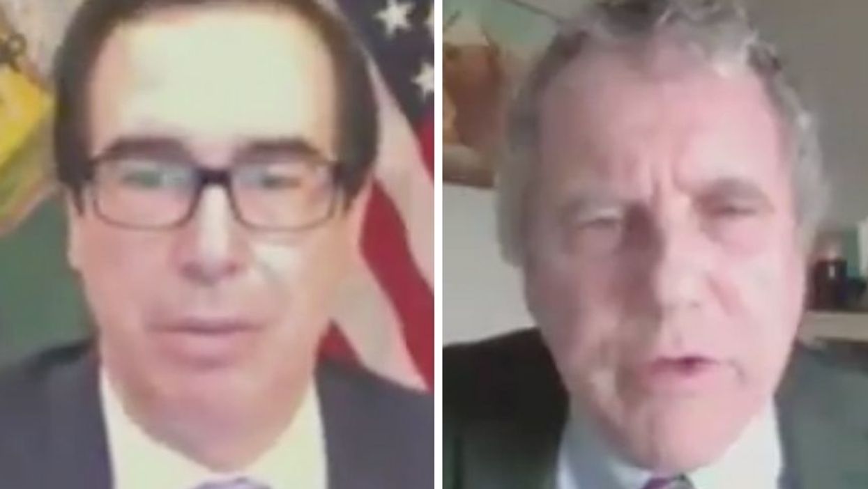 Democratic Senator Destroys Trump Treasury Secretary's Argument for Reopening the Economy with One Brutal Question