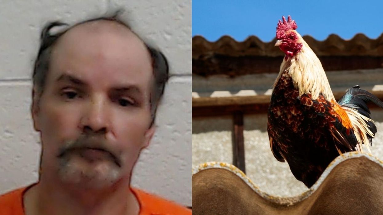 West Virginia Man Who Killed His Neighbor By Gouging His Eyes Out Over A Loud Rooster Says 'Lucifer Made Me Do It'