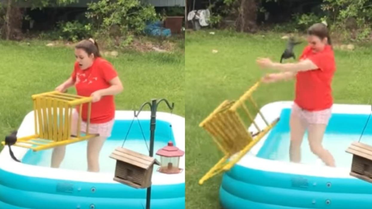 Girl Attempts To Rescue Squirrel From Swimming Pool—And It Backfires Spectacularly