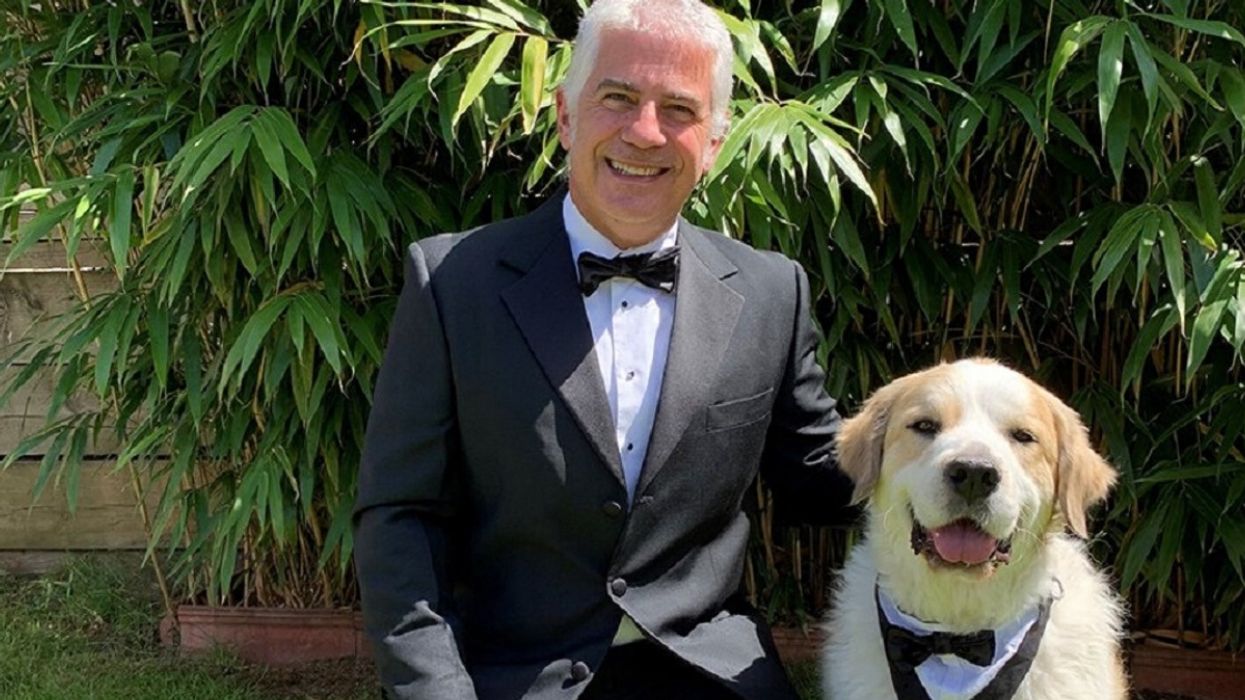 Boomer The University Therapy Dog Puts On His Best Tux To Accept National Award