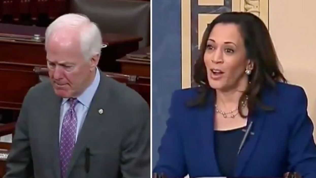 People Can't Get Enough of Kamala Harris' Calm Evisceration of GOP Colleague After He Tried to Come for Her on the Senate Floor