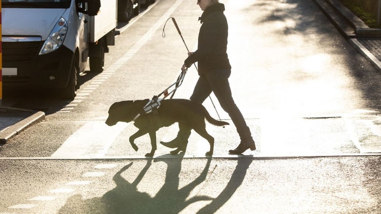 Bride With Severe Allergies Sparks Drama After Not Allowing Her Blind Friend To Bring Her Guide Dog To The Wedding