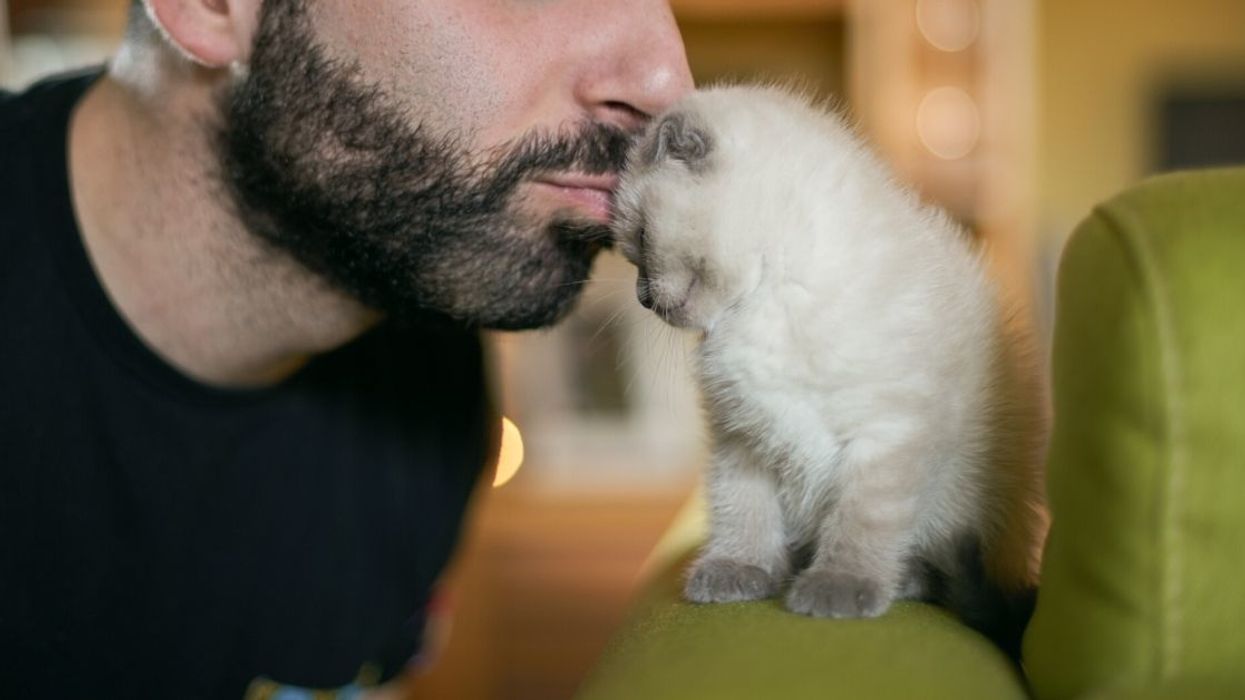 Woman At A Loss After Her 'Macho' Husband Is Racked With Guilt Over The Death Of His Cat